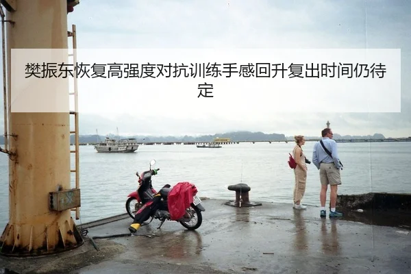 樊振东恢复高强度对抗训练手感回升复出时间仍待定